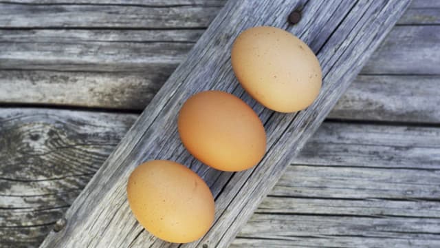 Czy jajka naprawdę podwyższają cholesterol? Fakty i mity o ich wpływie na zdrowie Czy jajka naprawdę podwyższają cholesterol? Fakty i mity o ich wpływie na zdrowie
