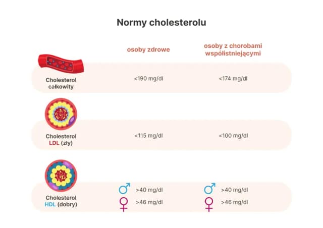 Czy cholesterol 240 to dużo? Normy, zagrożenia i skuteczne sposoby na obniżenie Czy cholesterol 240 to dużo? Normy, zagrożenia i skuteczne sposoby na obniżenie